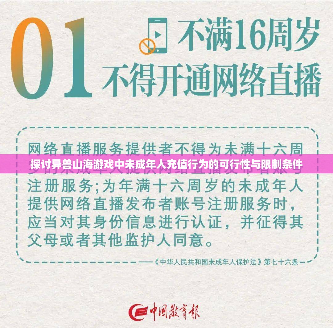 探讨异兽山海游戏中未成年人充值行为的可行性与限制条件