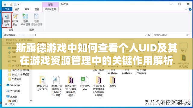 斯露德游戏中如何查看个人UID及其在游戏资源管理中的关键作用解析