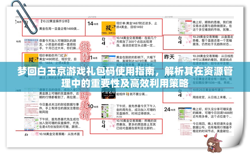 梦回白玉京游戏礼包码使用指南，解析其在资源管理中的重要性及高效利用策略