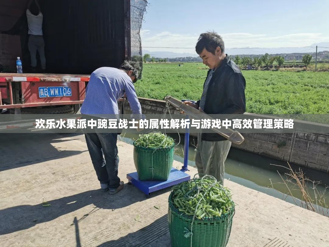 欢乐水果派中豌豆战士的属性解析与游戏中高效管理策略