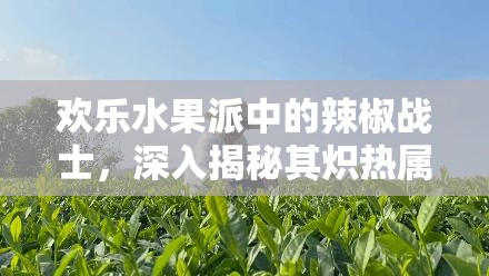 欢乐水果派中的辣椒战士，深入揭秘其炽热属性的独特魅力