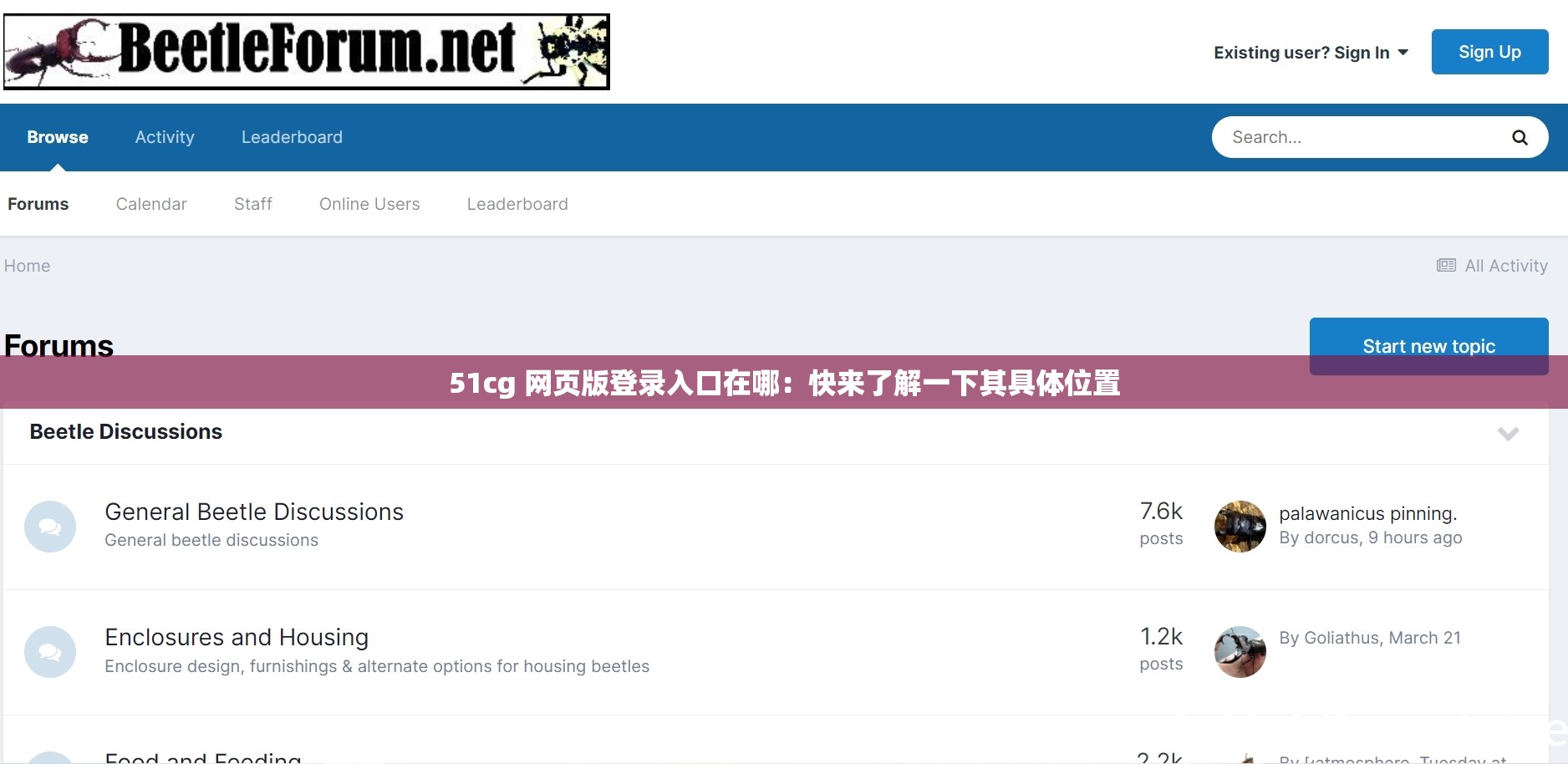 51cg 网页版登录入口在哪：快来了解一下其具体位置