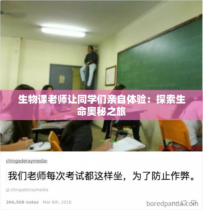 生物课老师让同学们亲自体验：探索生命奥秘之旅