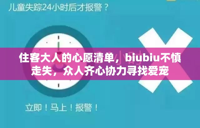 住客大人的心愿清单，biubiu不慎走失，众人齐心协力寻找爱宠