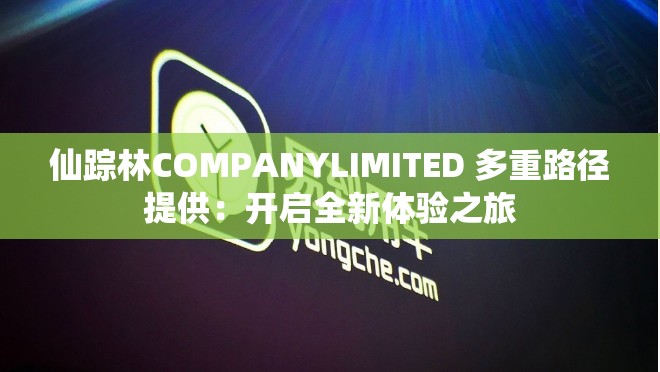 仙踪林COMPANYLIMITED 多重路径提供：开启全新体验之旅