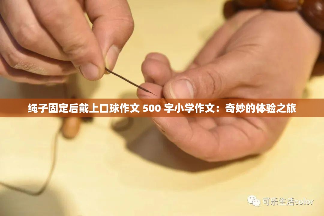 绳子固定后戴上口球作文 500 字小学作文：奇妙的体验之旅