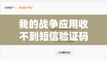 我的战争应用收不到短信验证码，资源管理中的重要性及实施高效管理策略解析