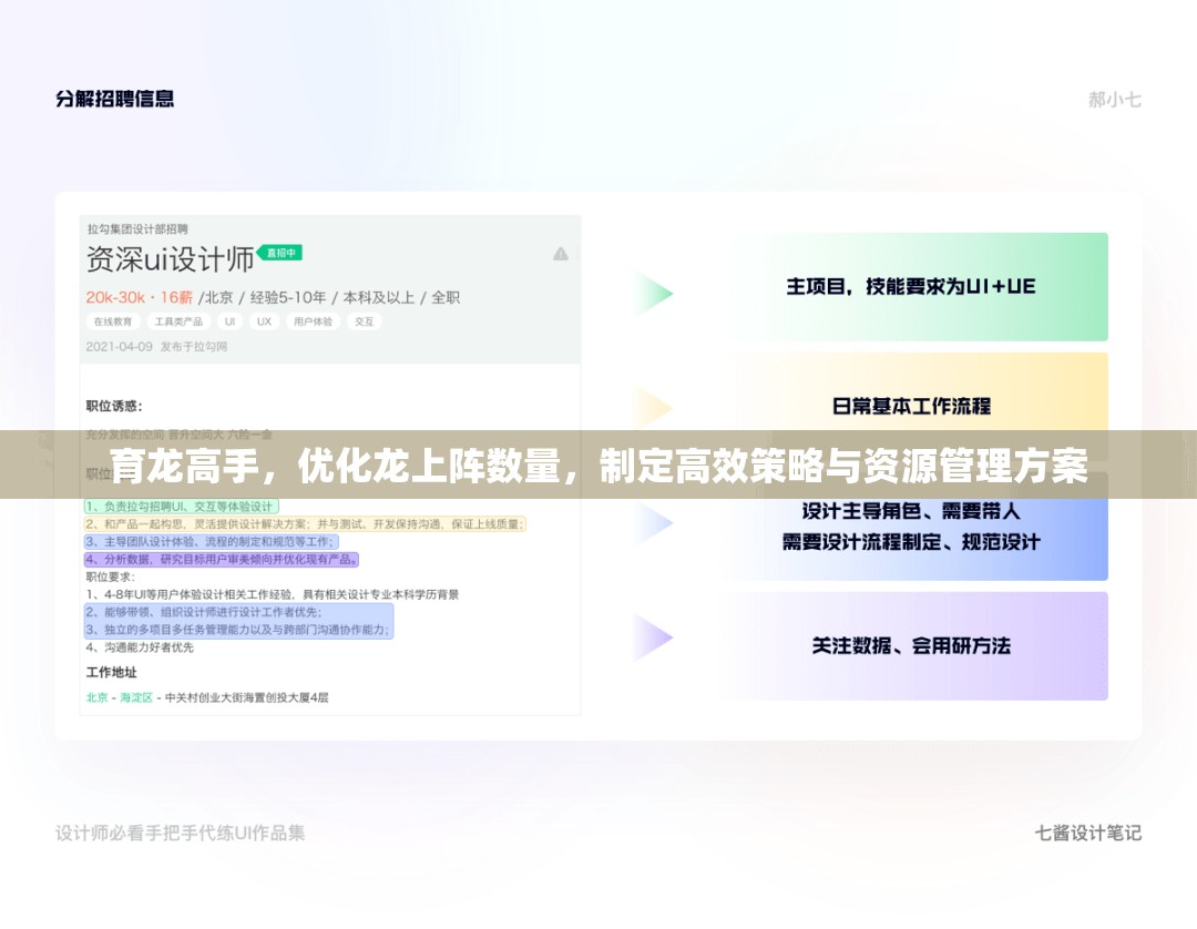 育龙高手，优化龙上阵数量，制定高效策略与资源管理方案