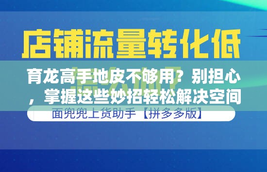 育龙高手地皮不够用？别担心，掌握这些妙招轻松解决空间难题！