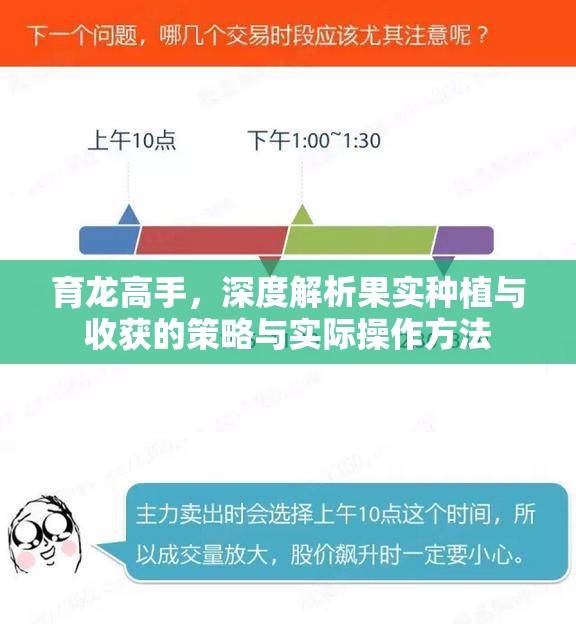 育龙高手，深度解析果实种植与收获的策略与实际操作方法