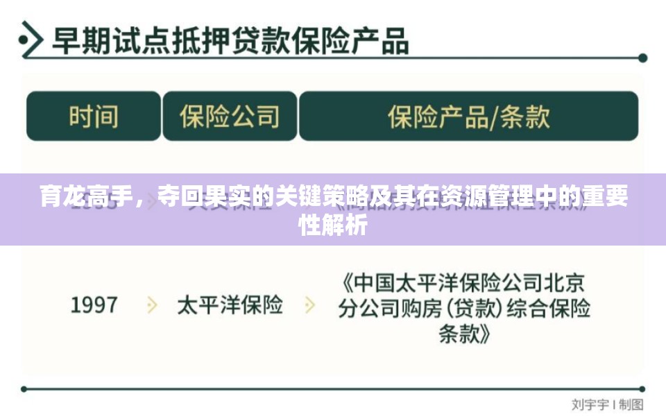 育龙高手，夺回果实的关键策略及其在资源管理中的重要性解析