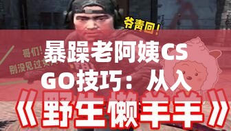 暴躁老阿姨CSGO技巧：从入门到精通的实战指南