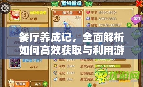 餐厅养成记，全面解析如何高效获取与利用游戏能量的策略