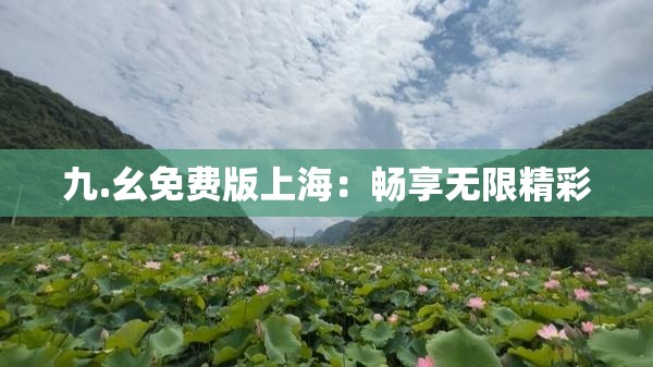 九.幺免费版上海：畅享无限精彩