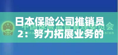 日本保险公司推销员 2：努力拓展业务的保险从业者之路