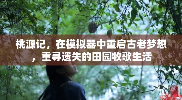 桃源记，在模拟器中重启古老梦想，重寻遗失的田园牧歌生活