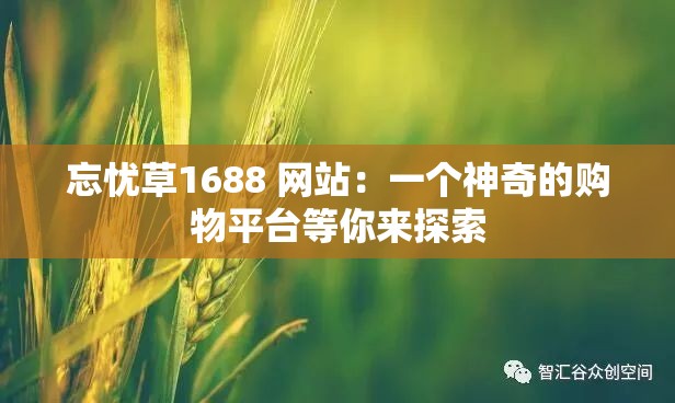 忘忧草1688 网站：一个神奇的购物平台等你来探索