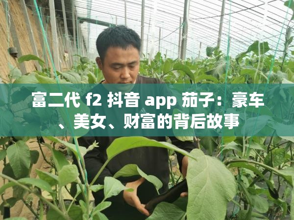 富二代 f2 抖音 app 茄子：豪车、美女、财富的背后故事