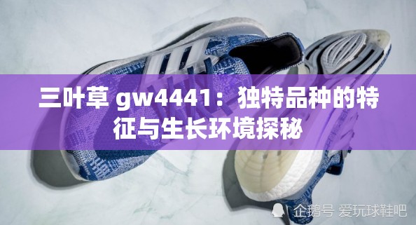 三叶草 gw4441：独特品种的特征与生长环境探秘