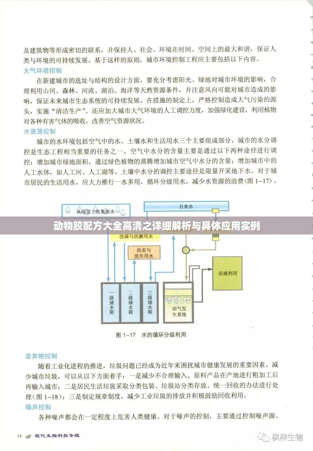 动物胶配方大全高清之详细解析与具体应用实例