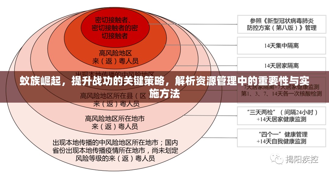 蚁族崛起，提升战功的关键策略，解析资源管理中的重要性与实施方法