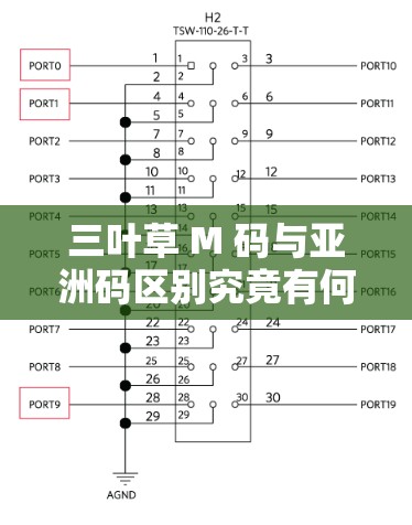 三叶草 M 码与亚洲码区别究竟有何不同