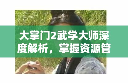 大掌门2武学大师深度解析，掌握资源管理艺术，成就武林霸业