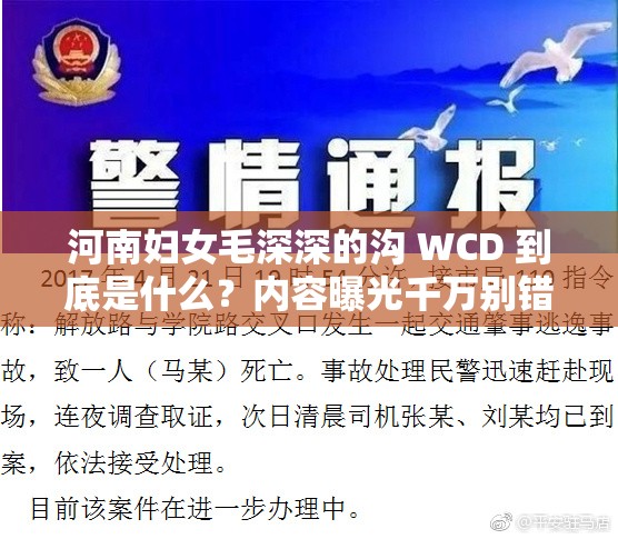 河南妇女毛深深的沟 WCD 到底是什么？内容曝光千万别错过