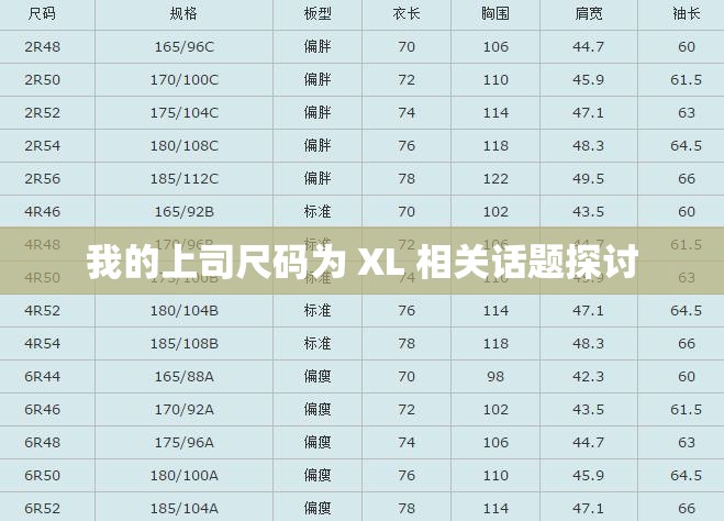 我的上司尺码为 XL 相关话题探讨