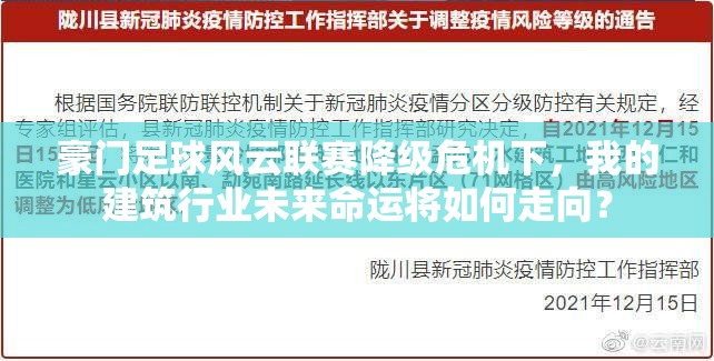 豪门足球风云联赛降级危机下，我的建筑行业未来命运将如何走向？