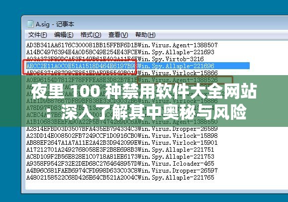 夜里 100 种禁用软件大全网站：深入了解其中奥秘与风险