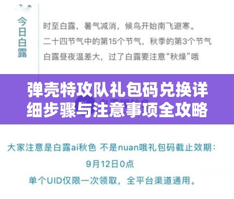 弹壳特攻队礼包码兑换详细步骤与注意事项全攻略