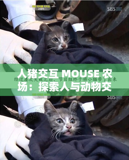 人猪交互 MOUSE 农场：探索人与动物交互的奇妙世界与未来发展