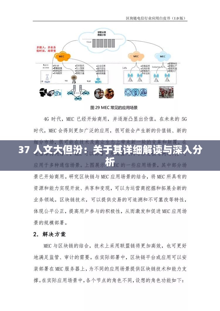 37 人文大但汾：关于其详细解读与深入分析