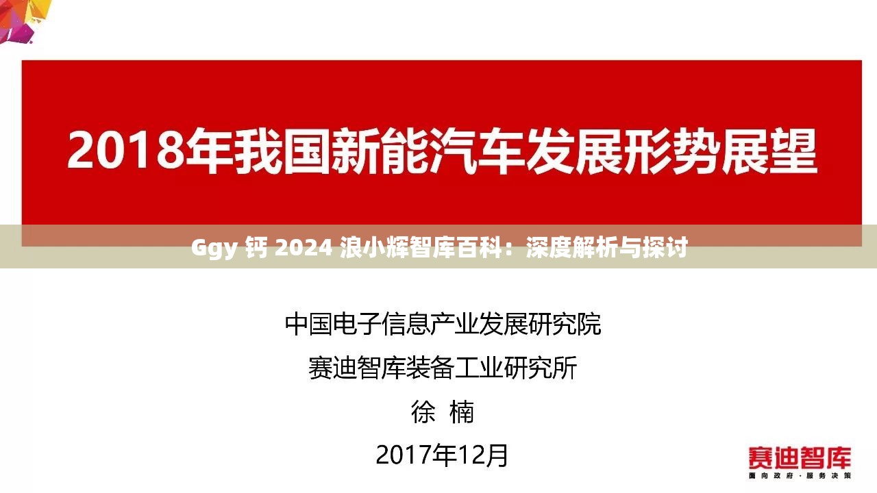 Ggy 钙 2024 浪小辉智库百科：深度解析与探讨