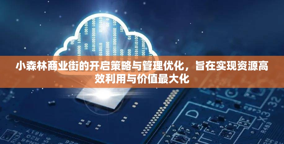 小森林商业街的开启策略与管理优化，旨在实现资源高效利用与价值最大化