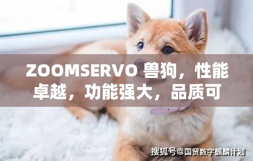 ZOOMSERVO 兽狗，性能卓越，功能强大，品质可靠，值得信赖