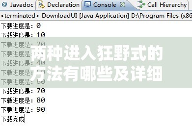 两种进入狂野式的方法有哪些及详细步骤介绍与分析