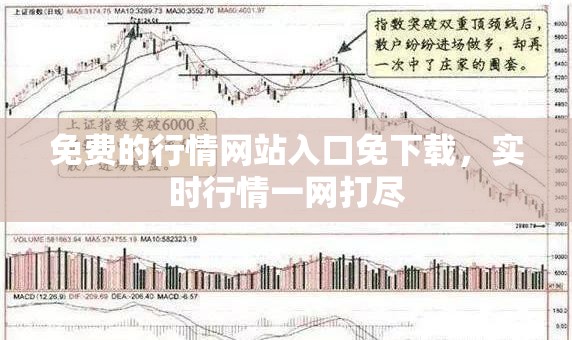 免费的行情网站入口免下载，实时行情一网打尽