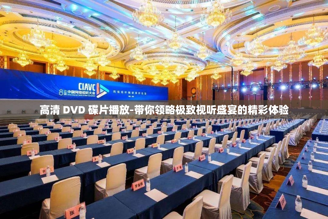 高清 DVD 碟片播放-带你领略极致视听盛宴的精彩体验