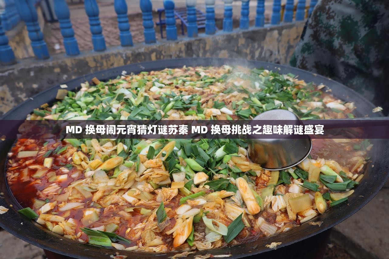 MD 换母闹元宵猜灯谜苏秦 MD 换母挑战之趣味解谜盛宴