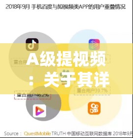 A级提视频：关于其详细内容与深度解析的探讨