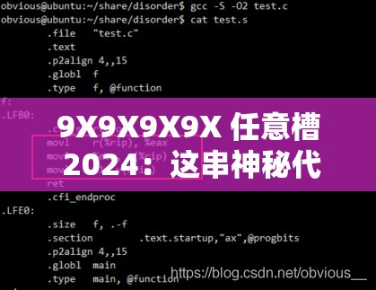 9X9X9X9X 任意槽 2024：这串神秘代码究竟有何深意