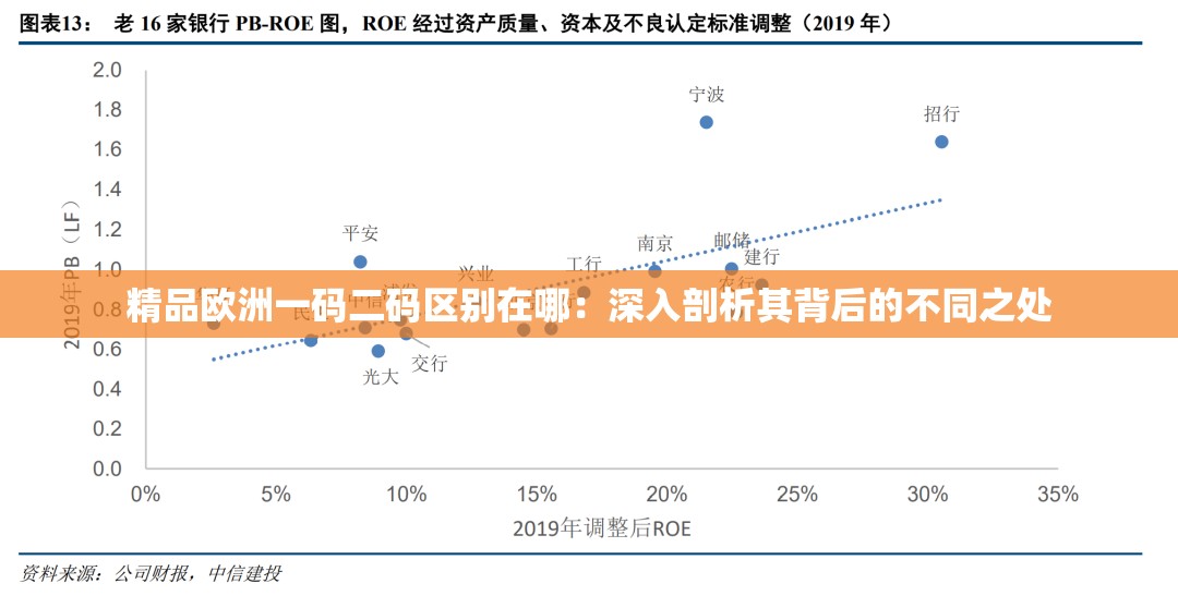 精品欧洲一码二码区别在哪：深入剖析其背后的不同之处