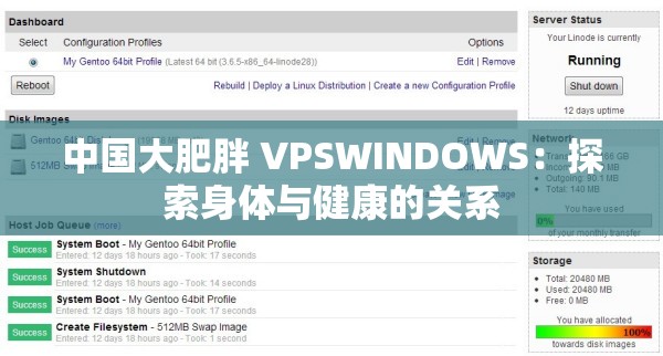 中国大肥胖 VPSWINDOWS：探索身体与健康的关系