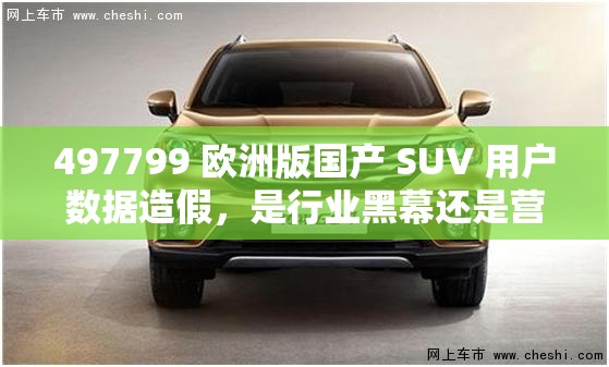 497799 欧洲版国产 SUV 用户数据造假，是行业黑幕还是营销策略？