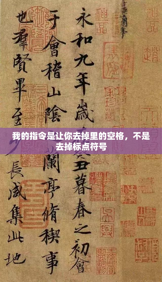 我的指令是让你去掉里的空格，不是去掉标点符号