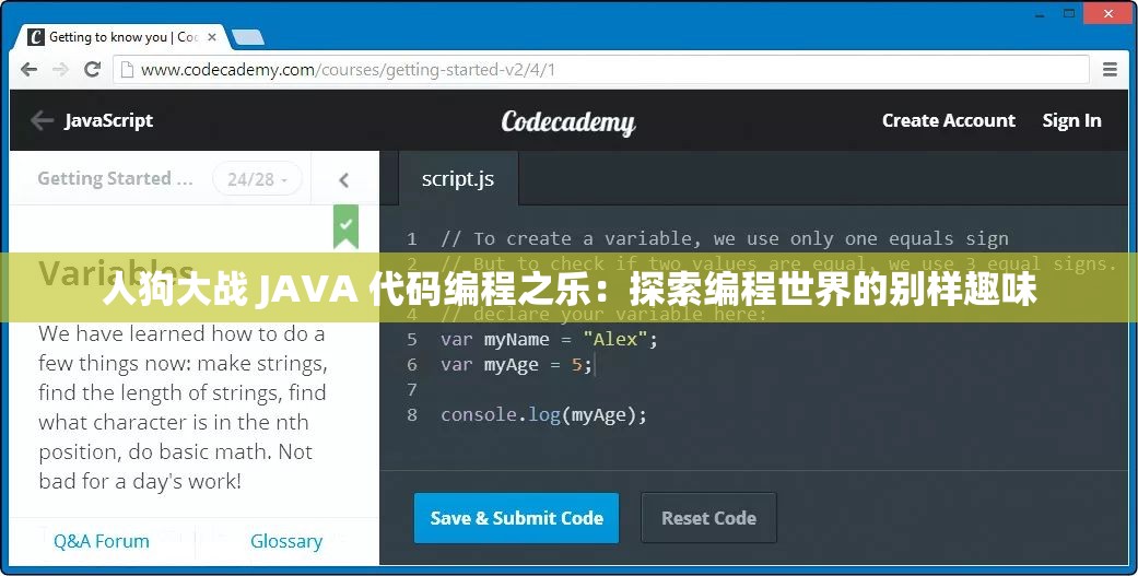 人狗大战 JAVA 代码编程之乐：探索编程世界的别样趣味