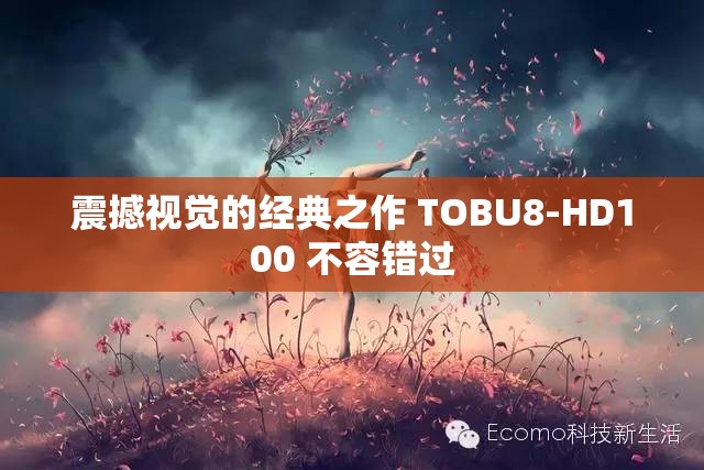 震撼视觉的经典之作 TOBU8-HD100 不容错过