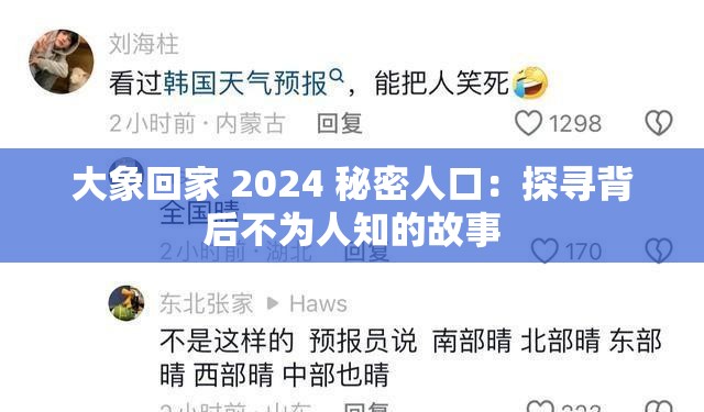 大象回家 2024 秘密人口：探寻背后不为人知的故事